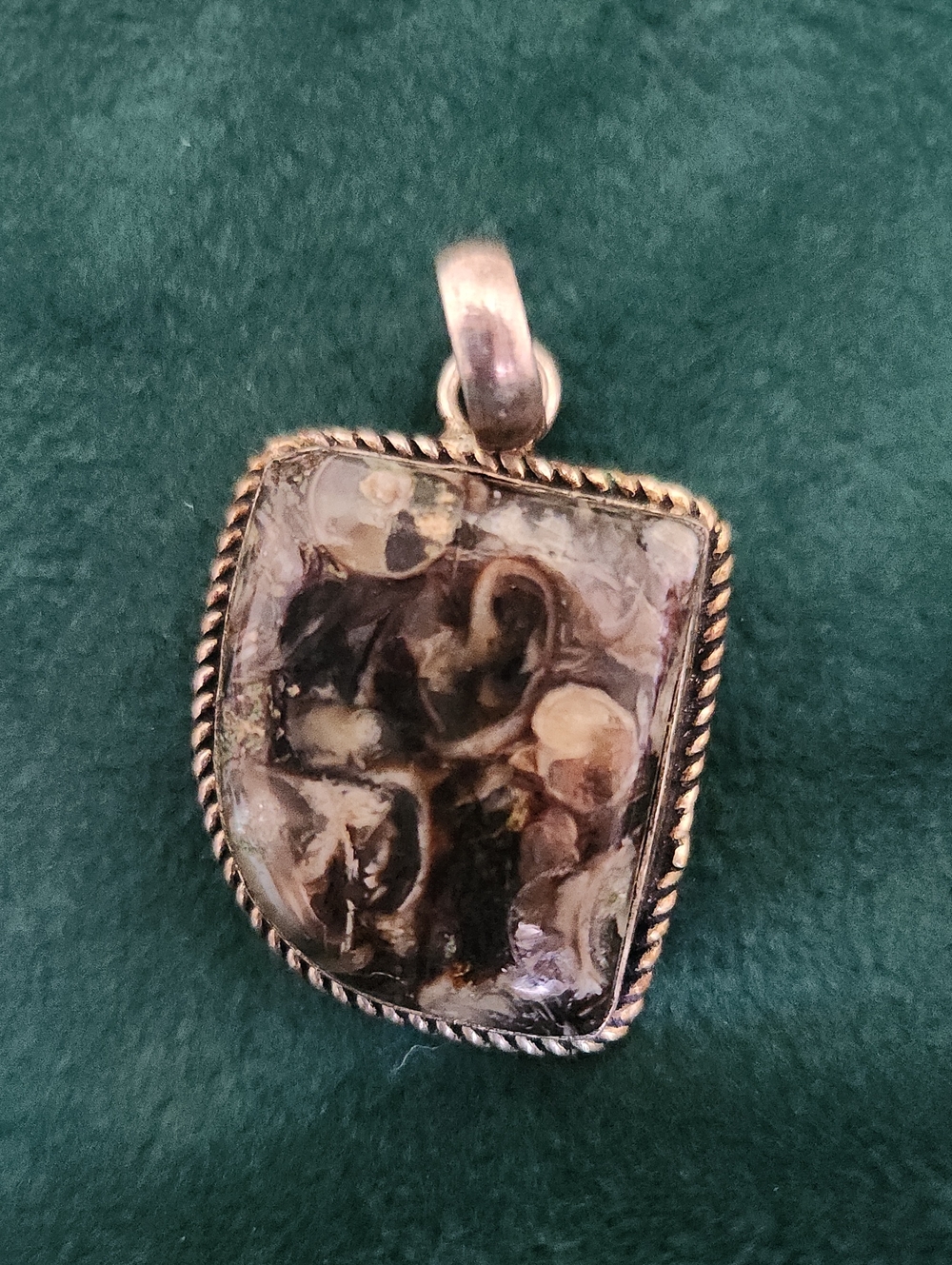 Organic Turitella Fossil Stone Pendant With Sterling Silver 925 Marked